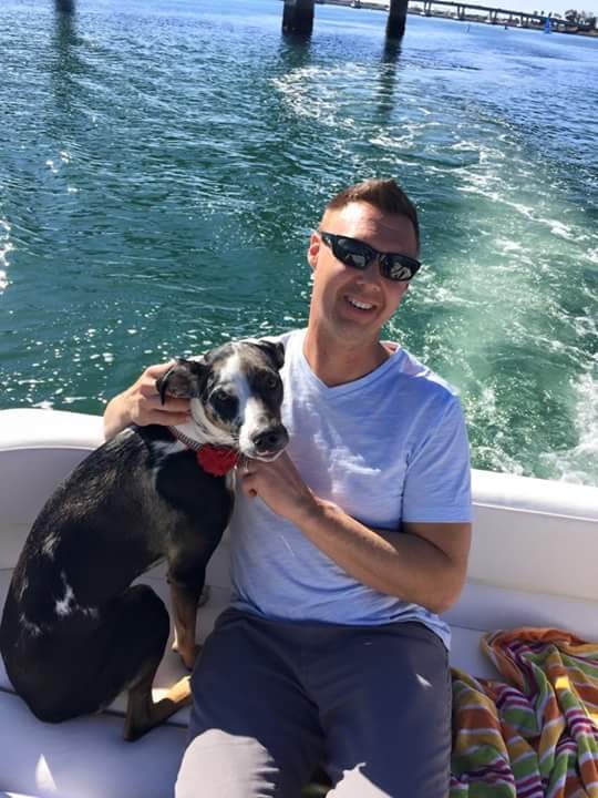 Cover image for public collection