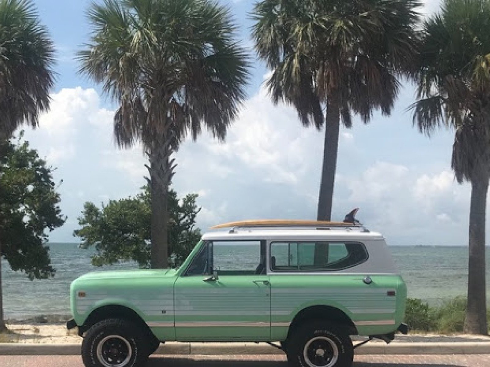 1979 International Scout
