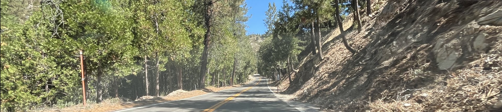 Cover image for public collection