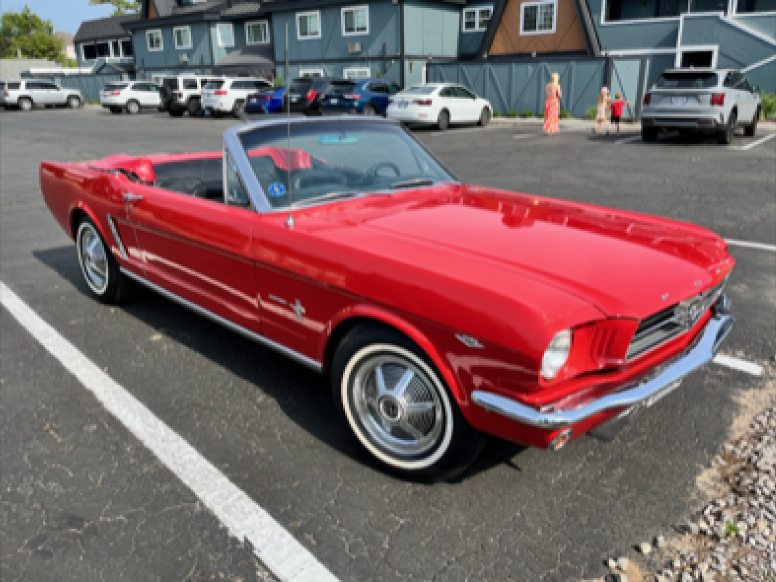 Cover image for public collection